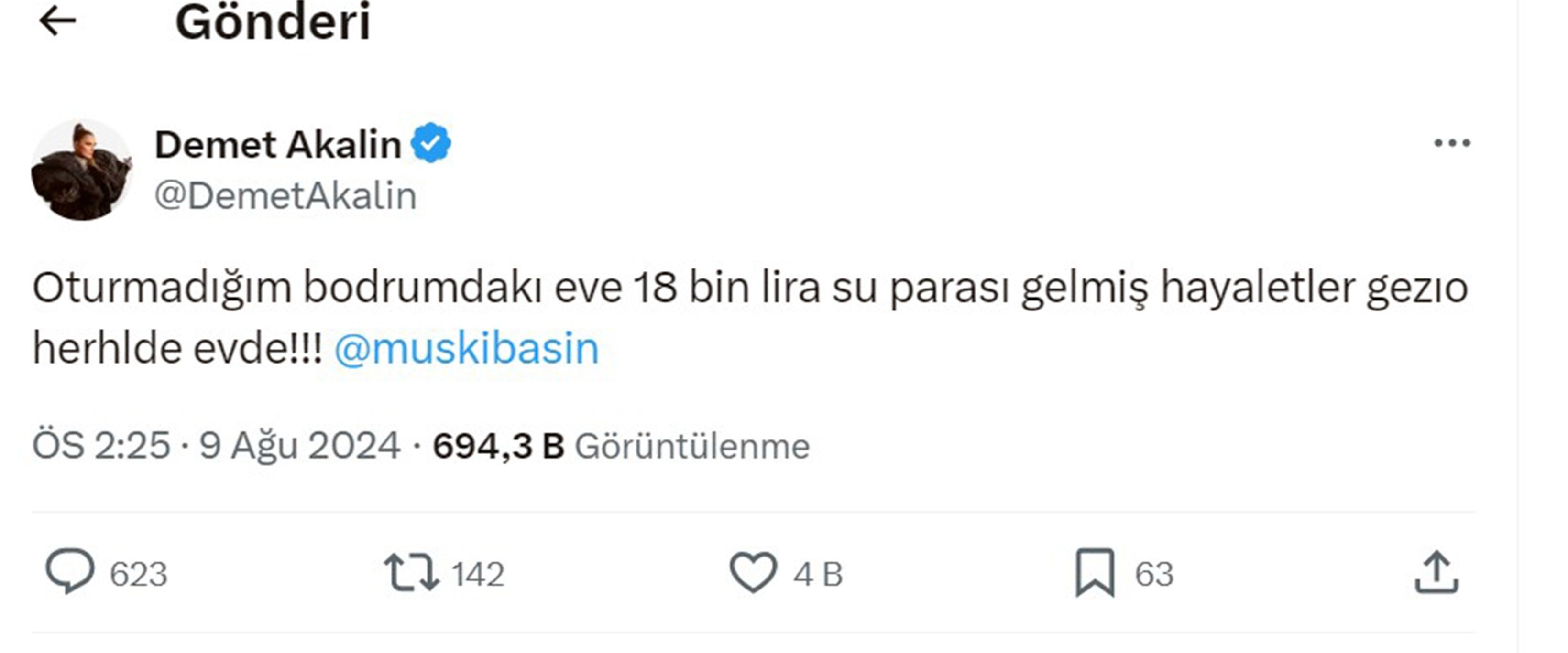 18 Bin Lira Su Faturası Gelen Şarkıcı Akalın’a MUSKİ’den Fatura Cevabı