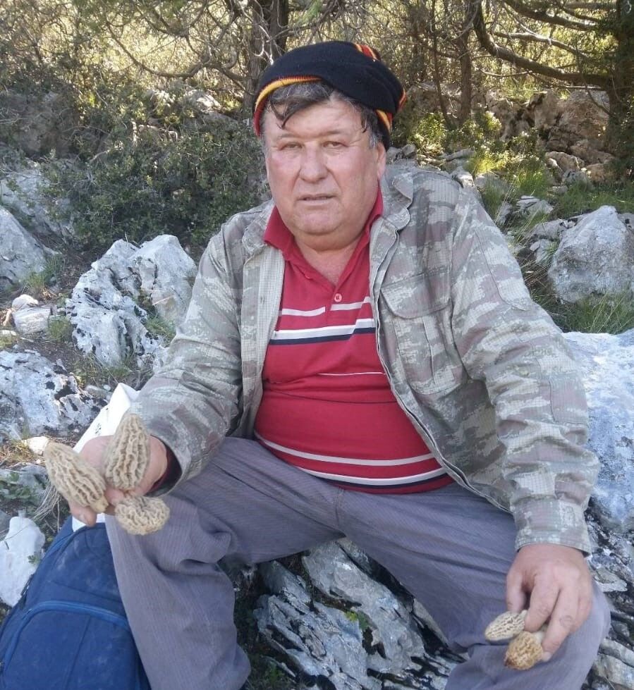 Göbek