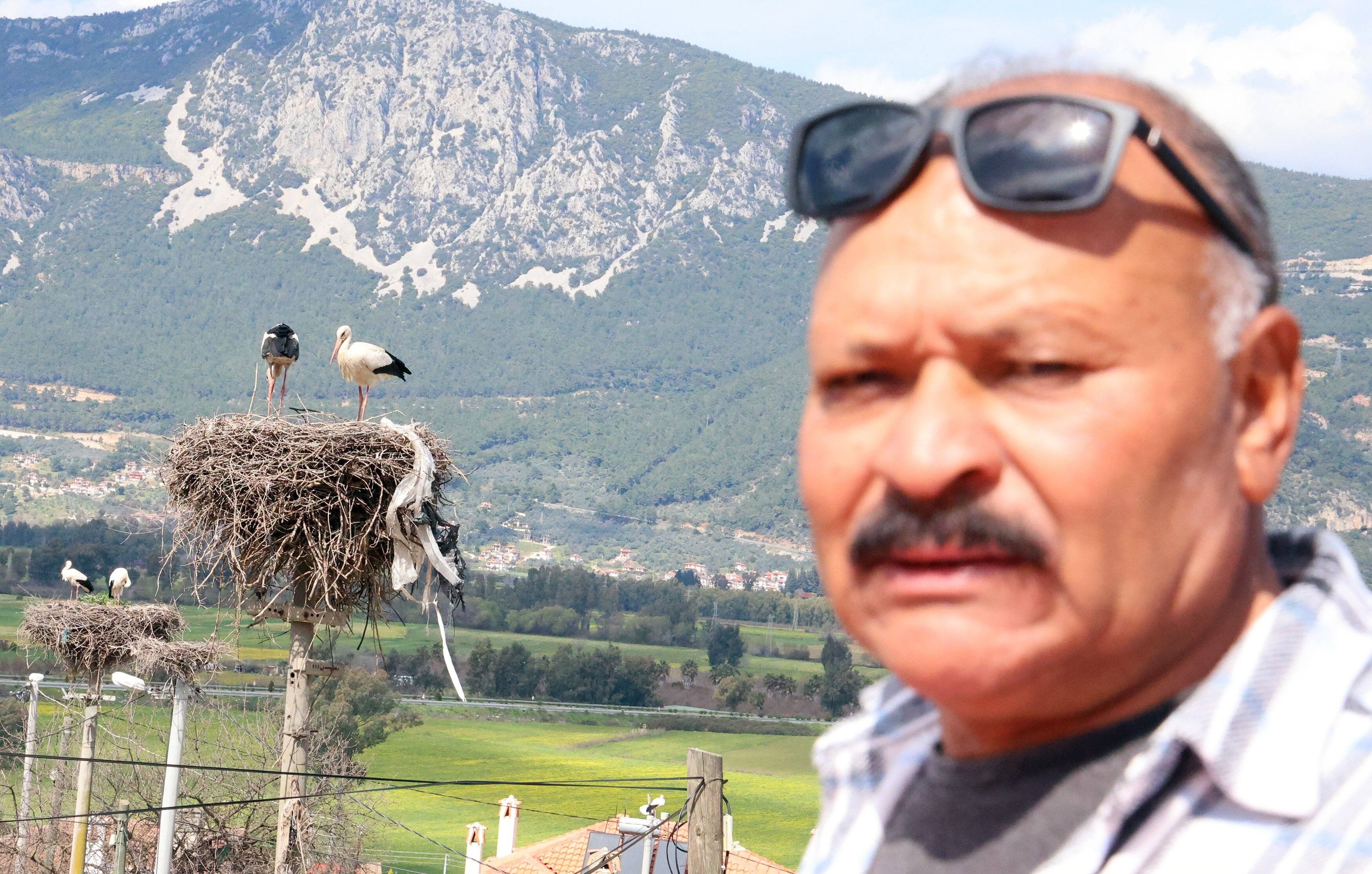 Leylek Sayısı Arttı, Yuva Kalmadı (2)