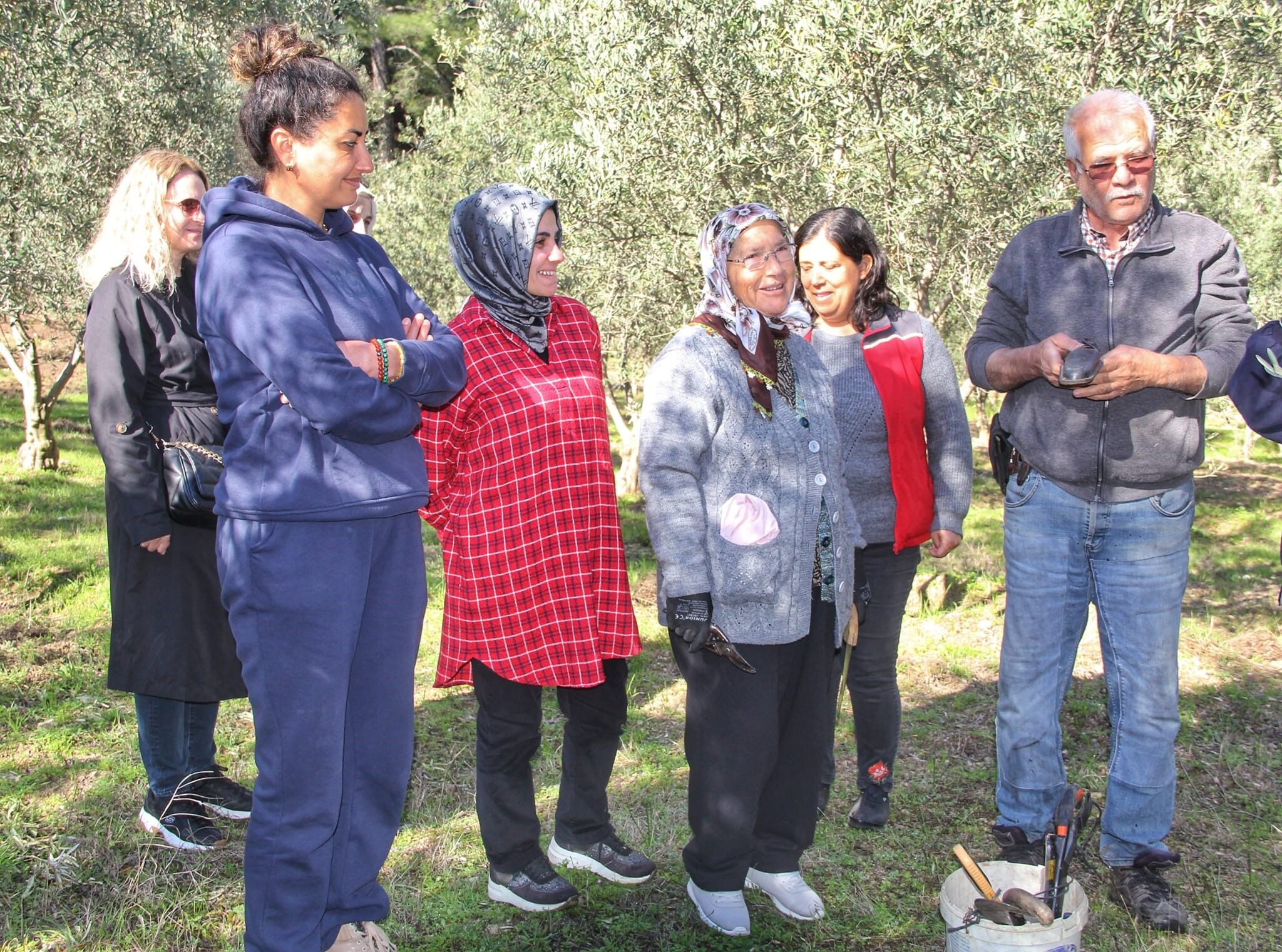 Almanlar Ve İngilizler Zeytin Budamayı Öğrendi (5)