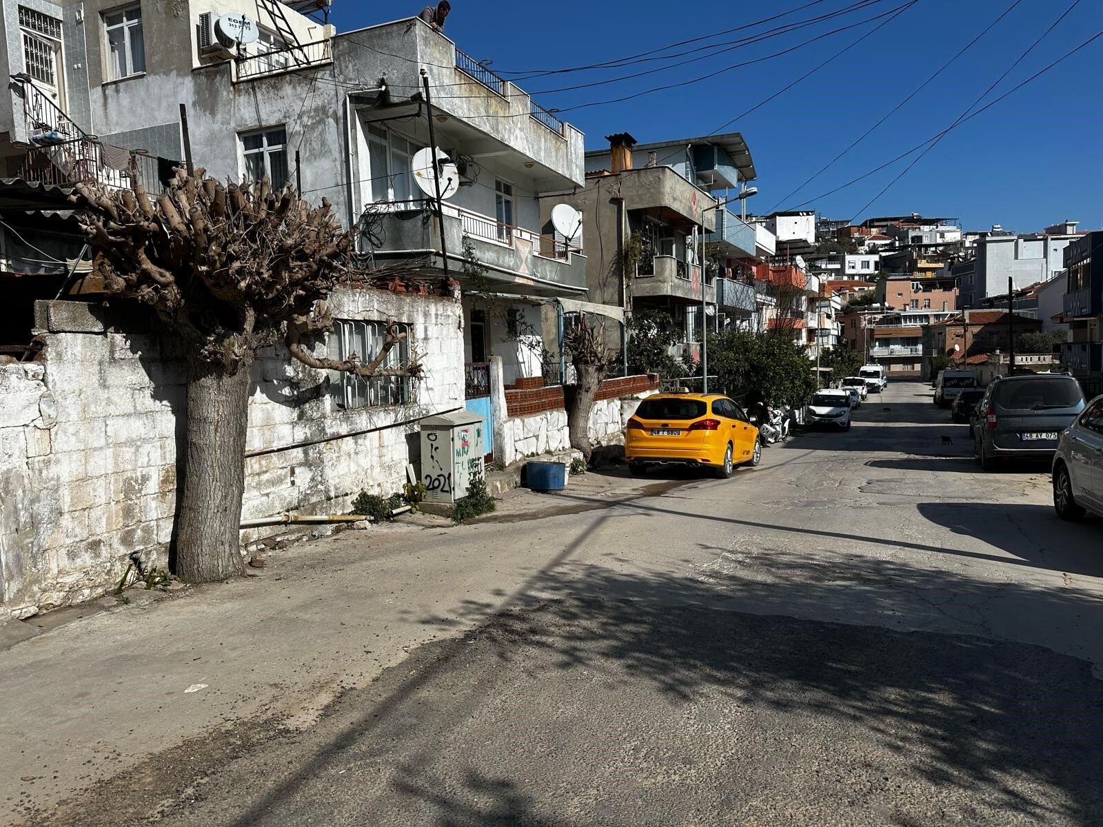 Yaşlı Kadın Evinde Ölü Bulundu (2)