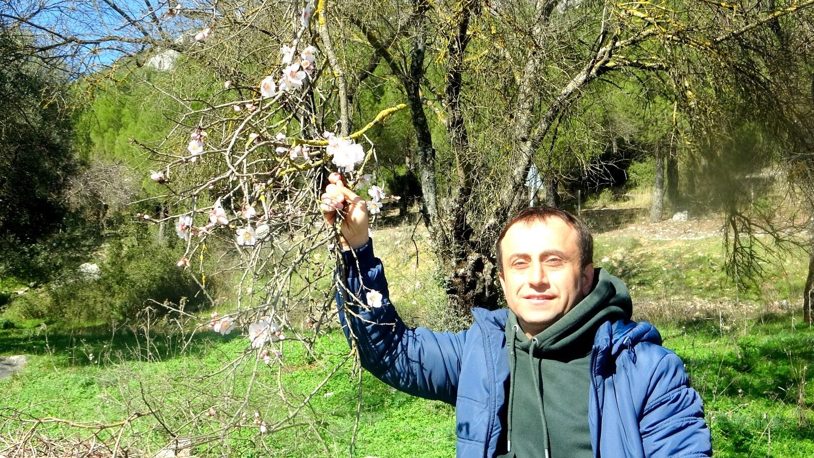Badem Ağaçlari Çi̇çek Açti (6)