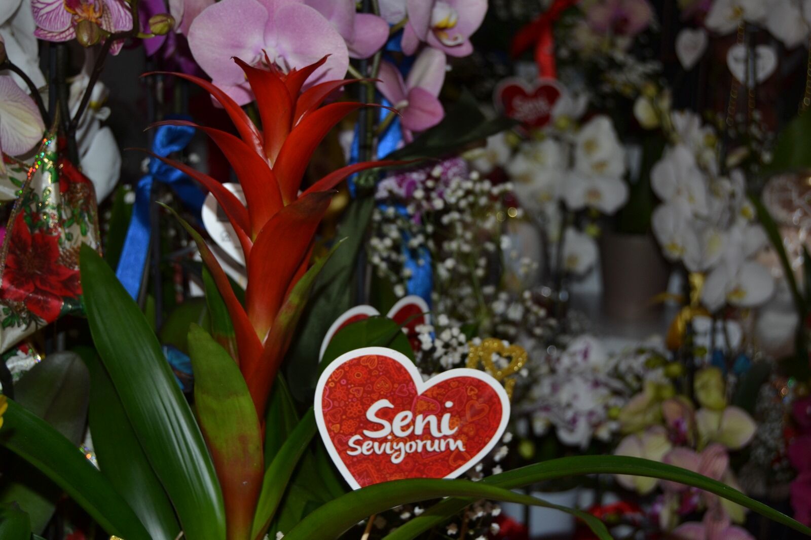 Whatsapp Görsel 2024 02 13 Saat 18.02.59 8780C7D7