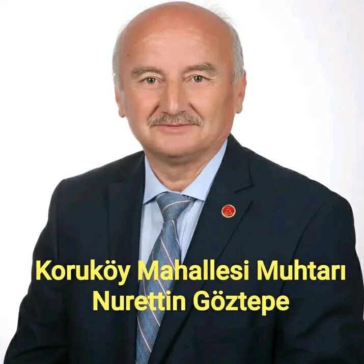 312370049 6406504489366462 7869795190984336601 N