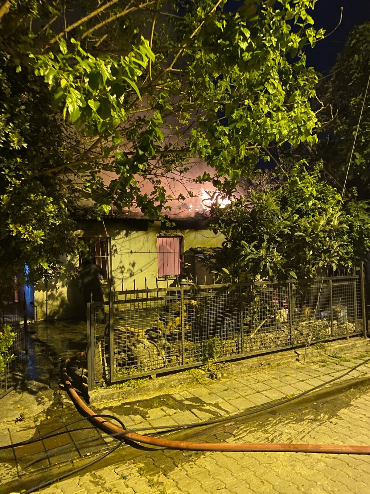 Yangın