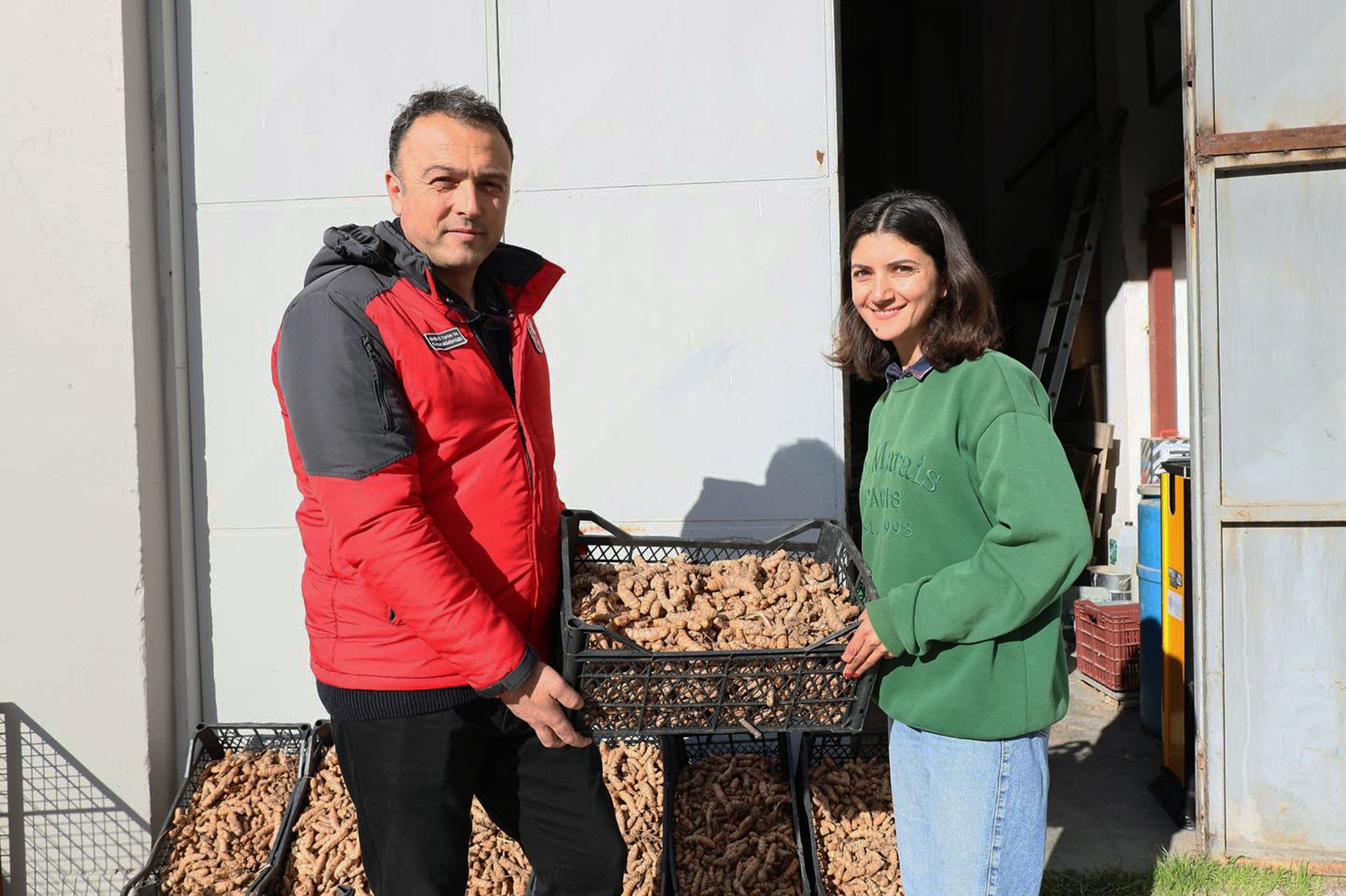 Zerdeçal Ve Zencefil Üretimine Büyük İlgi (3)