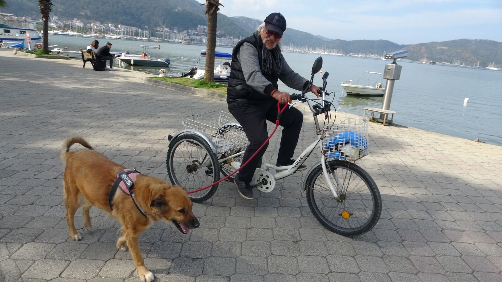 Bakan Yerlikaya’dan Valilere “Sokak Köpeği” Talimatı!