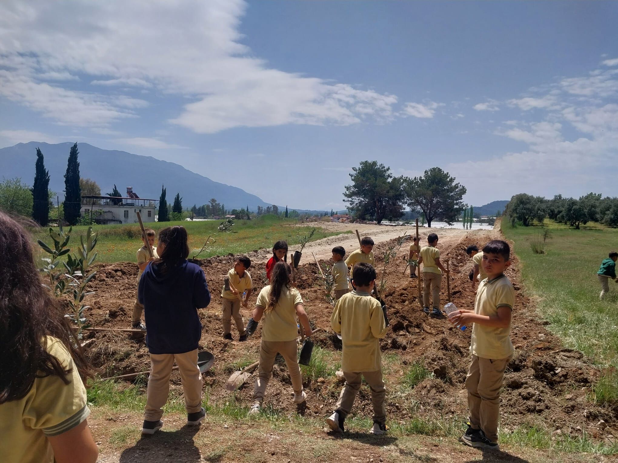 Fethiye’de Zeytin Fidanları Geleceğe Umut Dikti