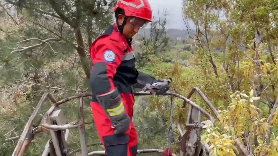 İtfaiye Ekipleri Yaralı Alabak Kuşunu Kurtardı