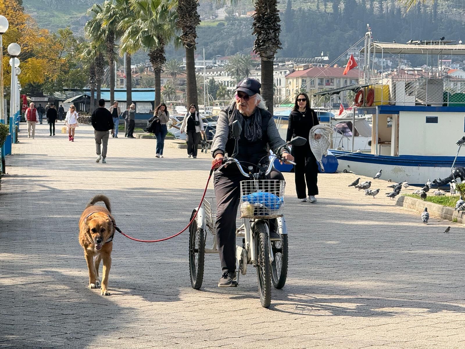 Bakan Yerlikaya’dan Valilere “Sokak Köpeği” Talimatı!
