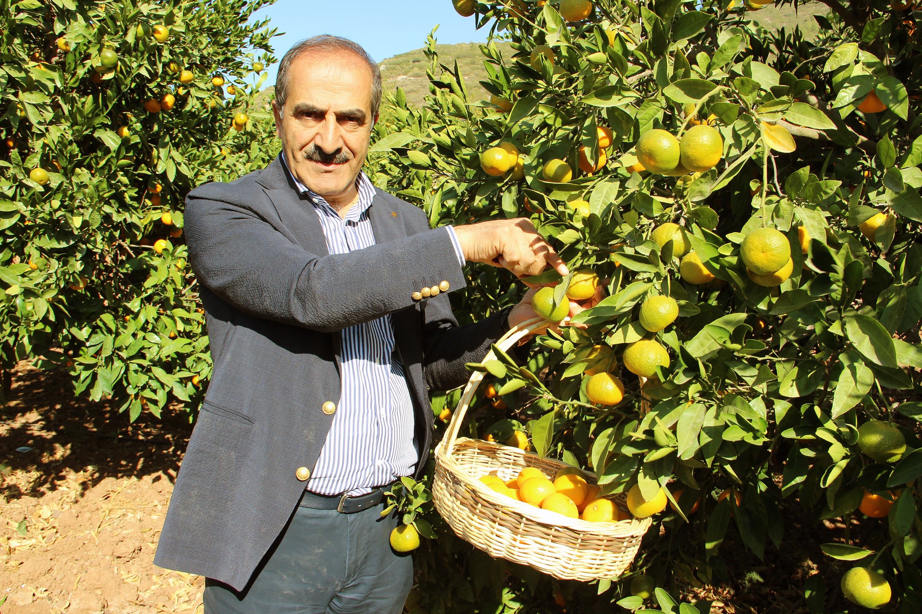 Ege’nin Narenciye Deposu ‘Muğla’