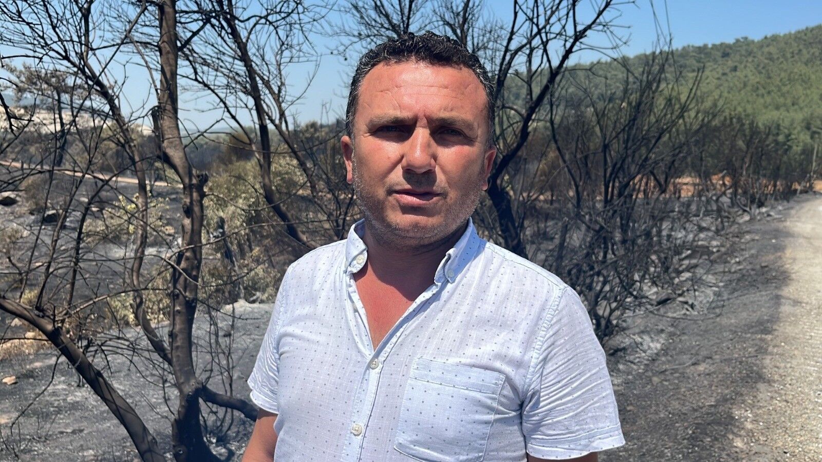 Milas’ta Alevler Yüzyıllık Mirası Yuttu; Zeytinlikler Kül Oldu