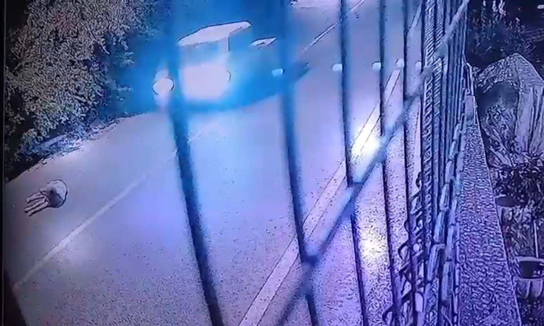Köpeği Ezip Yoluna Devam Etti