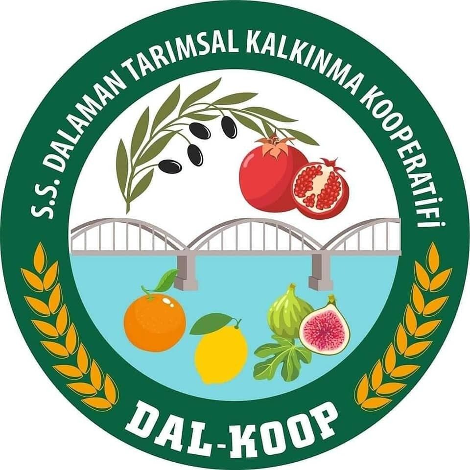 Dalaman’da Kooperatifin Zeytinyağları Da Sahte Çıktı