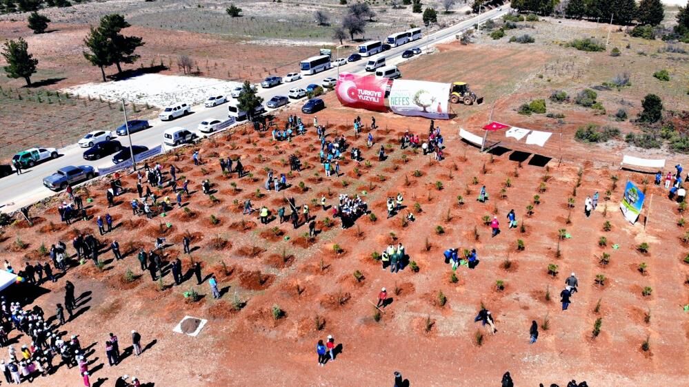 Muğla Genelinde 21 Lokasyonda Binlerce Fidan Toprakla Buluşturulacak.