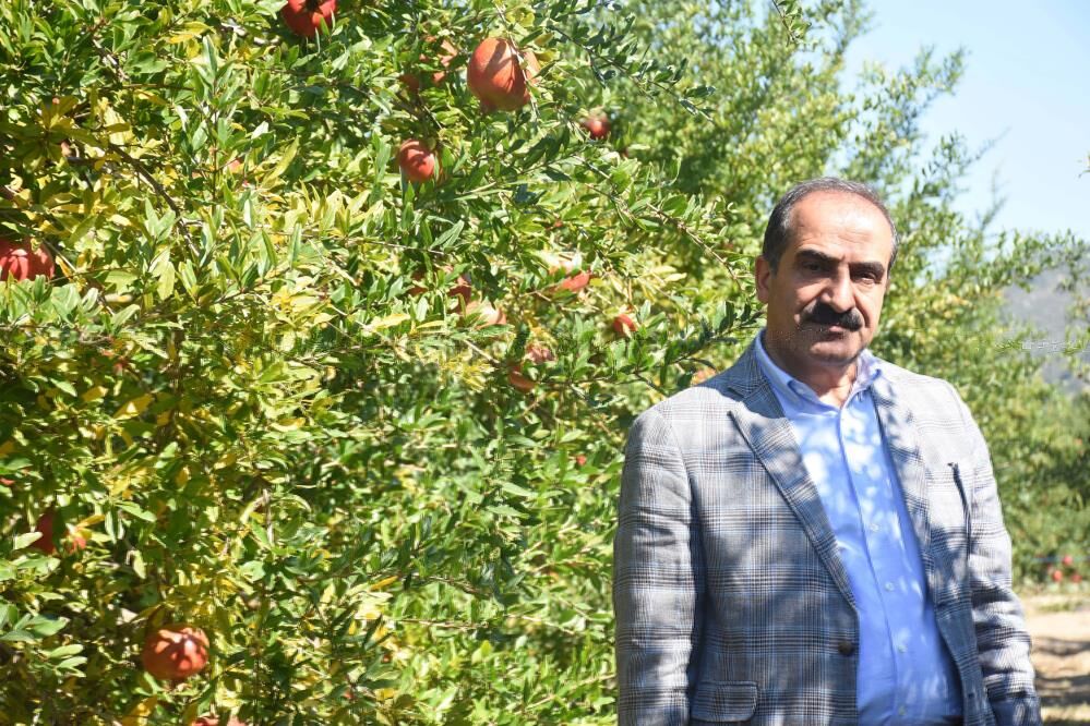 Muğla Nar üretiminde Türkiye ikincisi