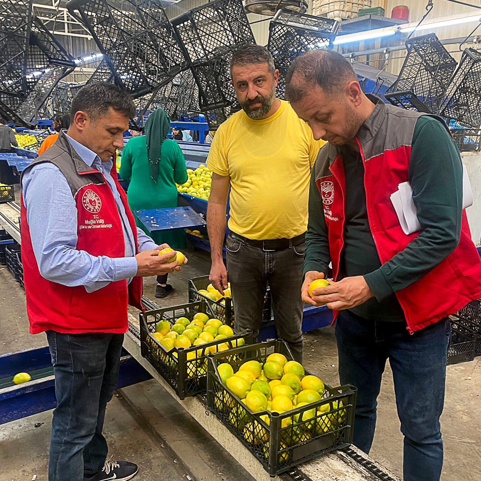 Üretilen Ürünler Tüm Dünyaya İhraç Oluyor