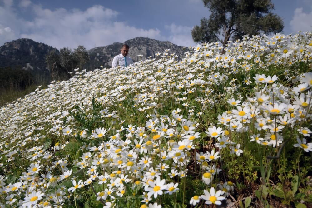 Baharın Müjdecisi Üçüncü Cemre Toprağa Düştü