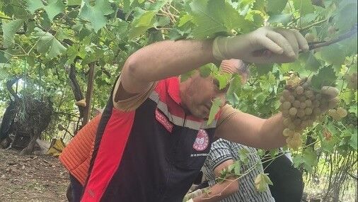Hasat Öncesi Denetimlerde Yasaklı Maddeye Geçit Yok