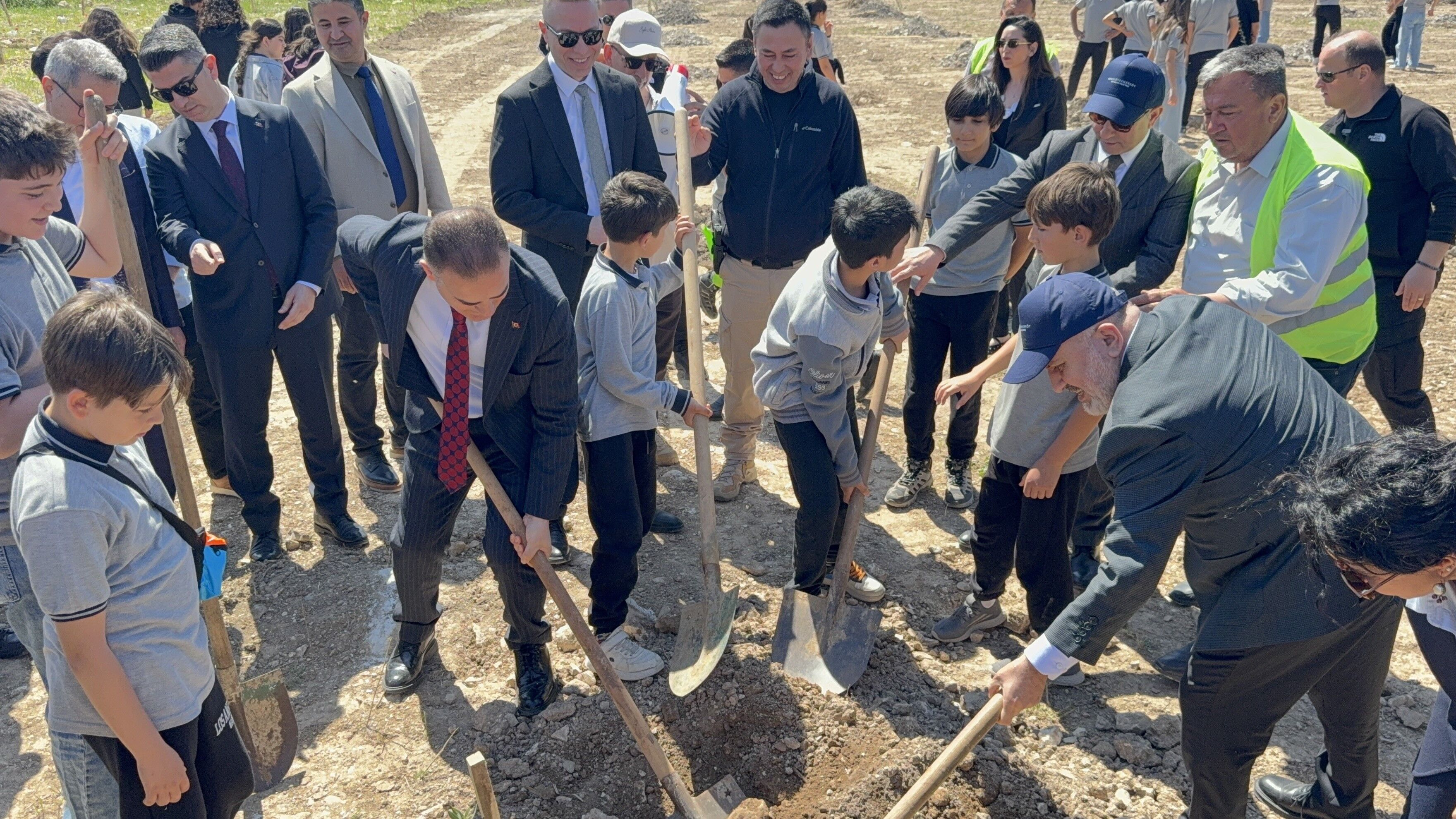 Taşınan Her Zeytin Ağacına Karşılık Fidan: Milas'ta 4 Bin Zeytin Toprakla Buluştu