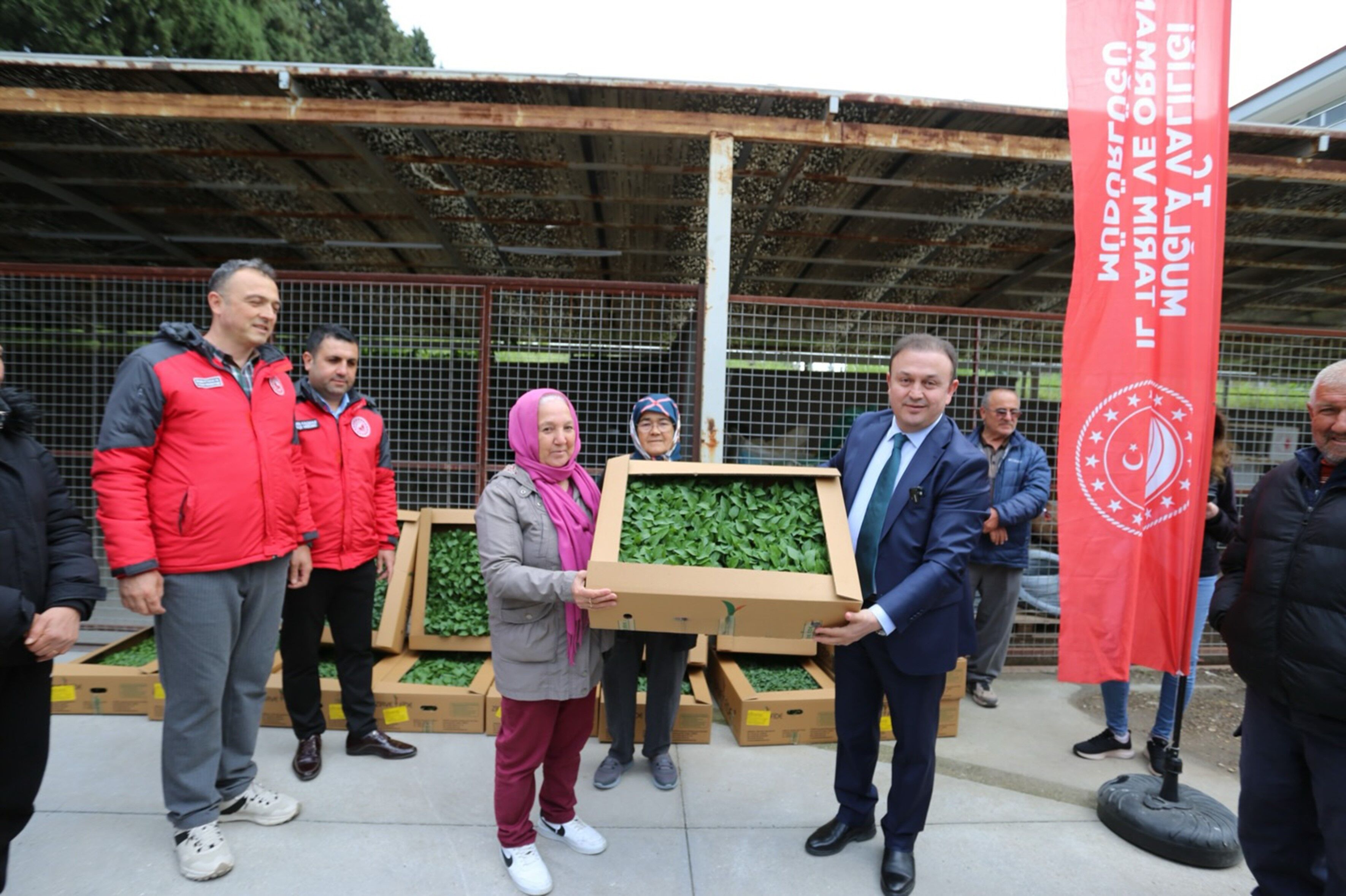 500 Bin Ata Tohumundan Üretilen Fideler Toprakla Buluşuyor