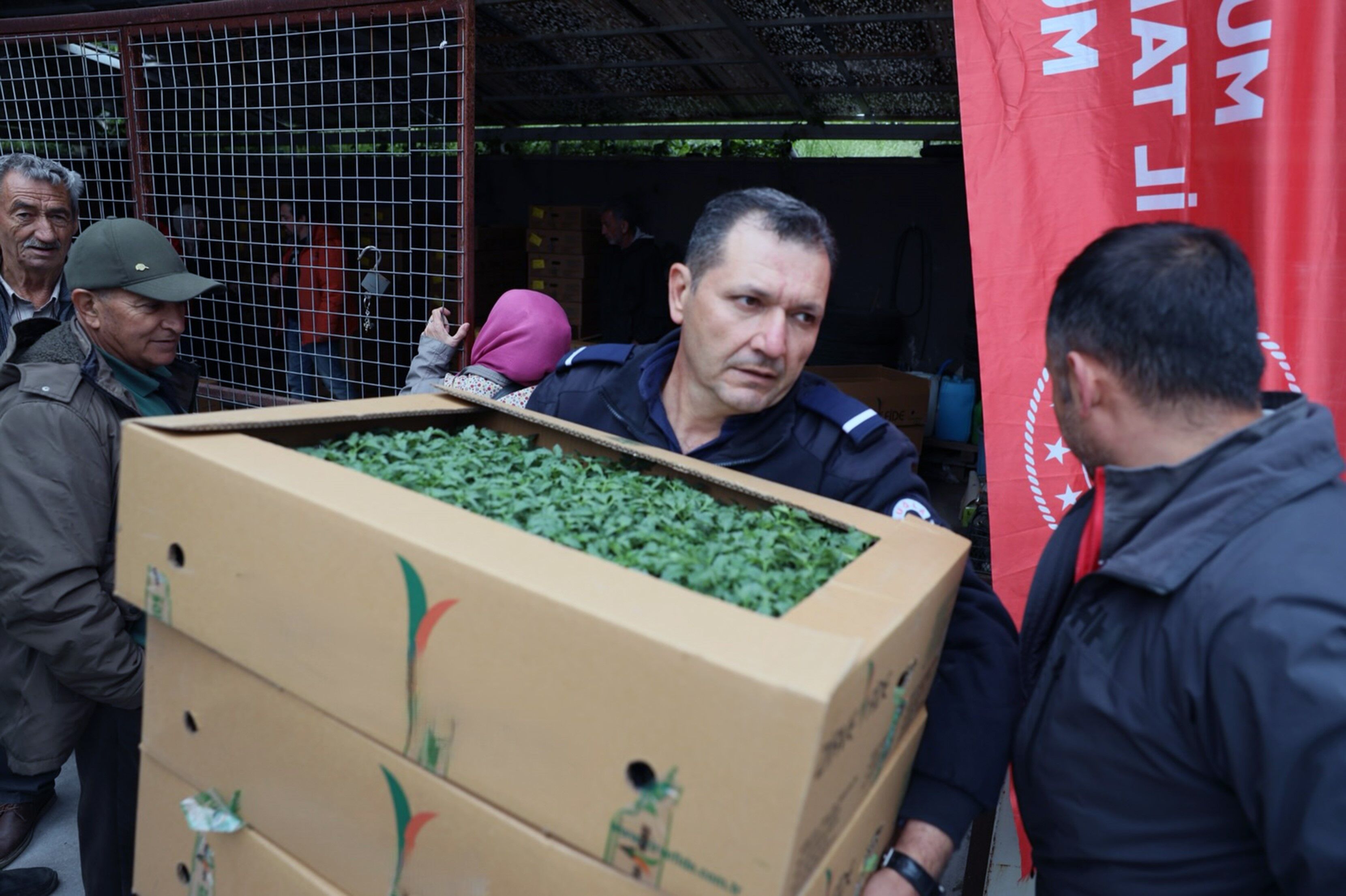 500 Bin Ata Tohumundan Üretilen Fideler Toprakla Buluşuyor