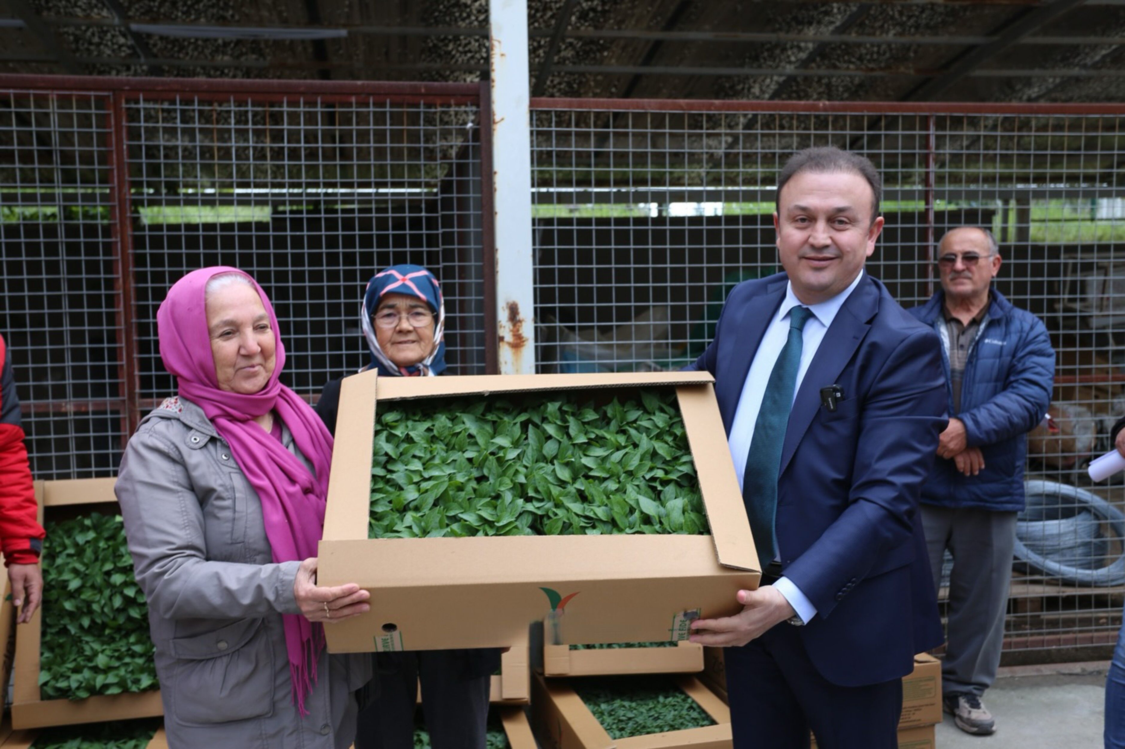 500 Bin Ata Tohumundan Üretilen Fideler Toprakla Buluşuyor