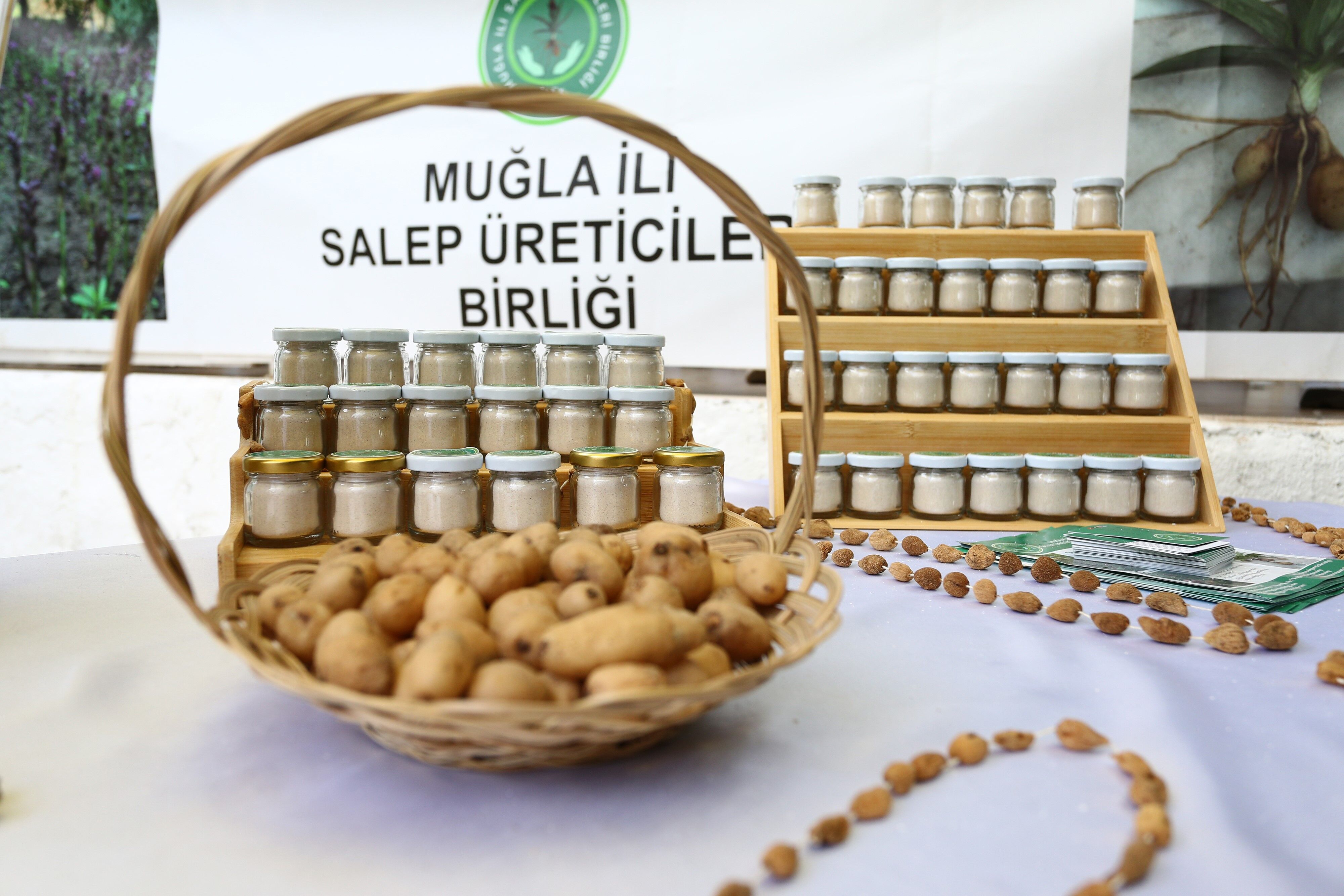 Dünya Çiftçiler Günü’nde Salep Hasadı