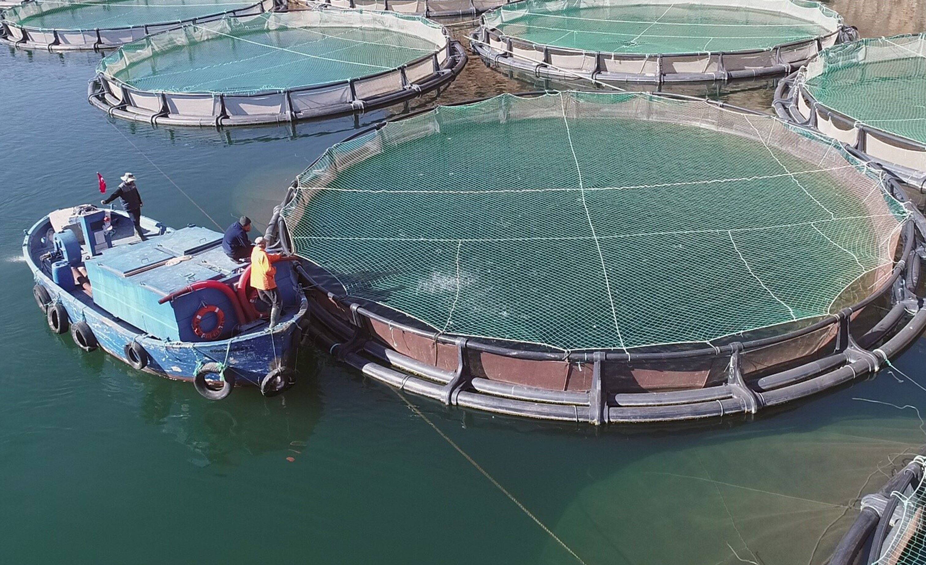 Muğla’nın Nisan Ayı İhracatı 108 Milyon Doları Aştı