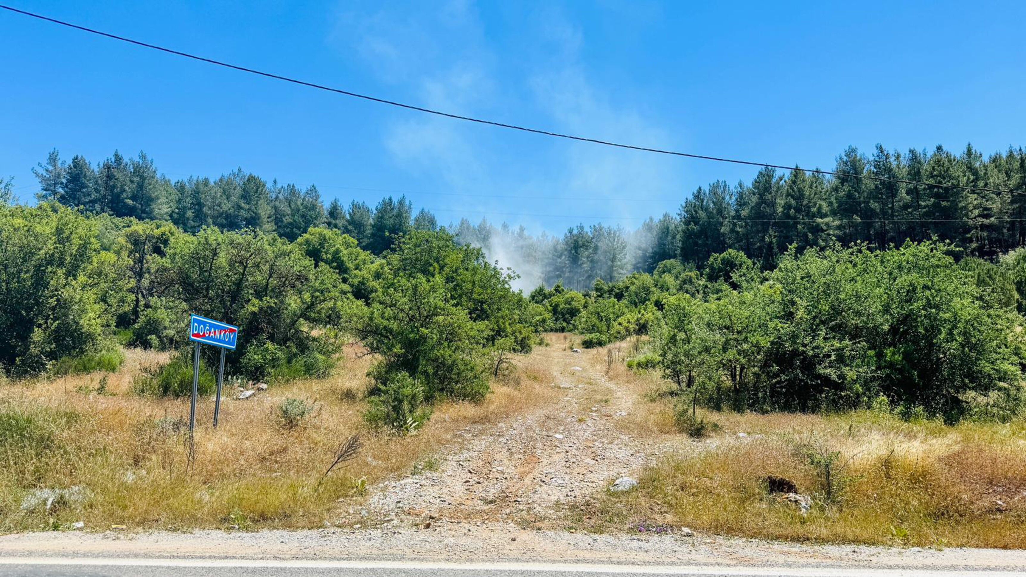 Orman Yangını Kontrol Altına Alındı