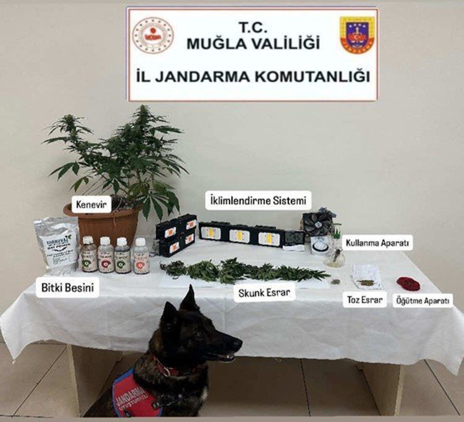 Jandarma Ekiplerinin Uyuşturucu Ve Sahte Alkol Denetimleri Sürüyor