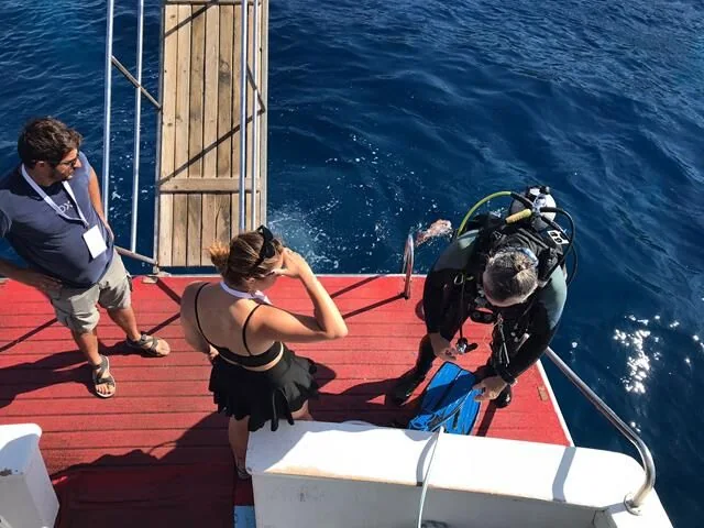 Altın Palet Sualtı Görüntüleme Türkiye Şampiyonası Fethiye'de Başladı