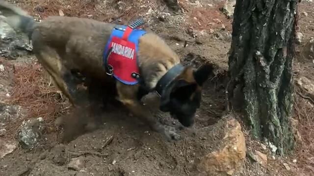 20 Yıl Sonra Ortaya Çıkarılan Cinayetin İlk Duruşması Görüldü