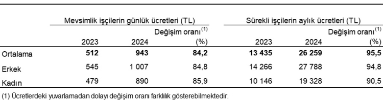 Tarım İşçi Ücretleri TÜİK Verileriyle Netleşti: Hangi İlde Ne Kadar Ödeniyor?