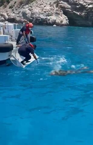 Fethiye'de Balık Vurmak İçin Daldı, Çıkamadı