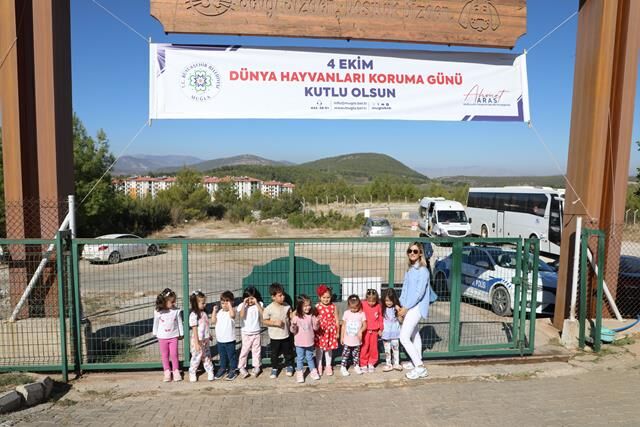 Büyükşehir Geçici Hayvan Bakımevi’nden Can Dostlara Dört Dörtlük Hizmet