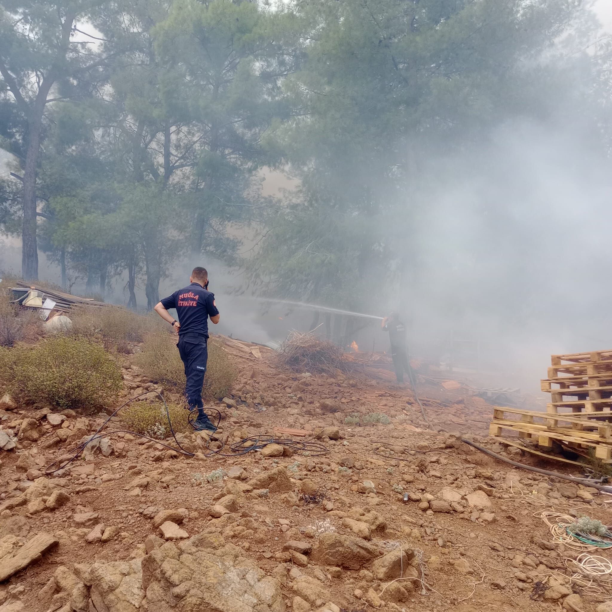 Büyükşehir İtfaiyesi Milas ve Köyceğiz’de Alevlerle Mücadelede