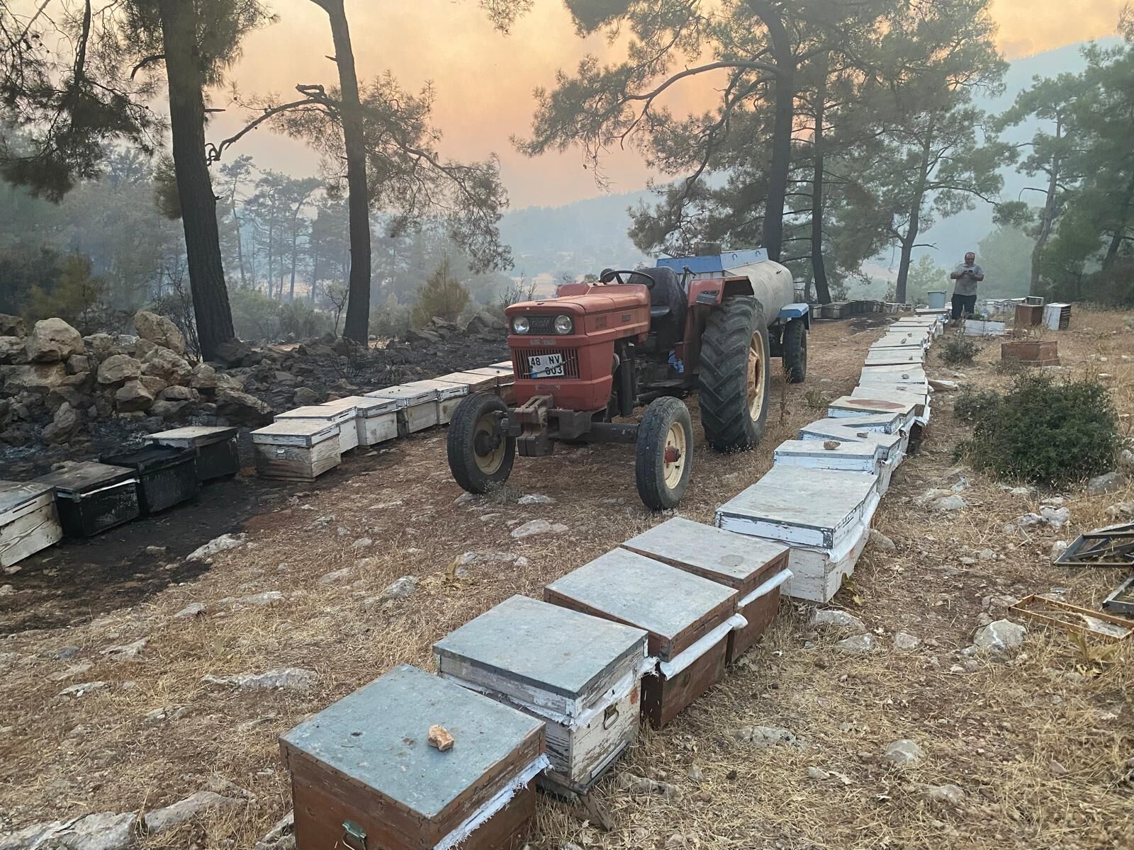 Büyükşehir, Yangından Etkilenen Arıcılara Destek Olacak