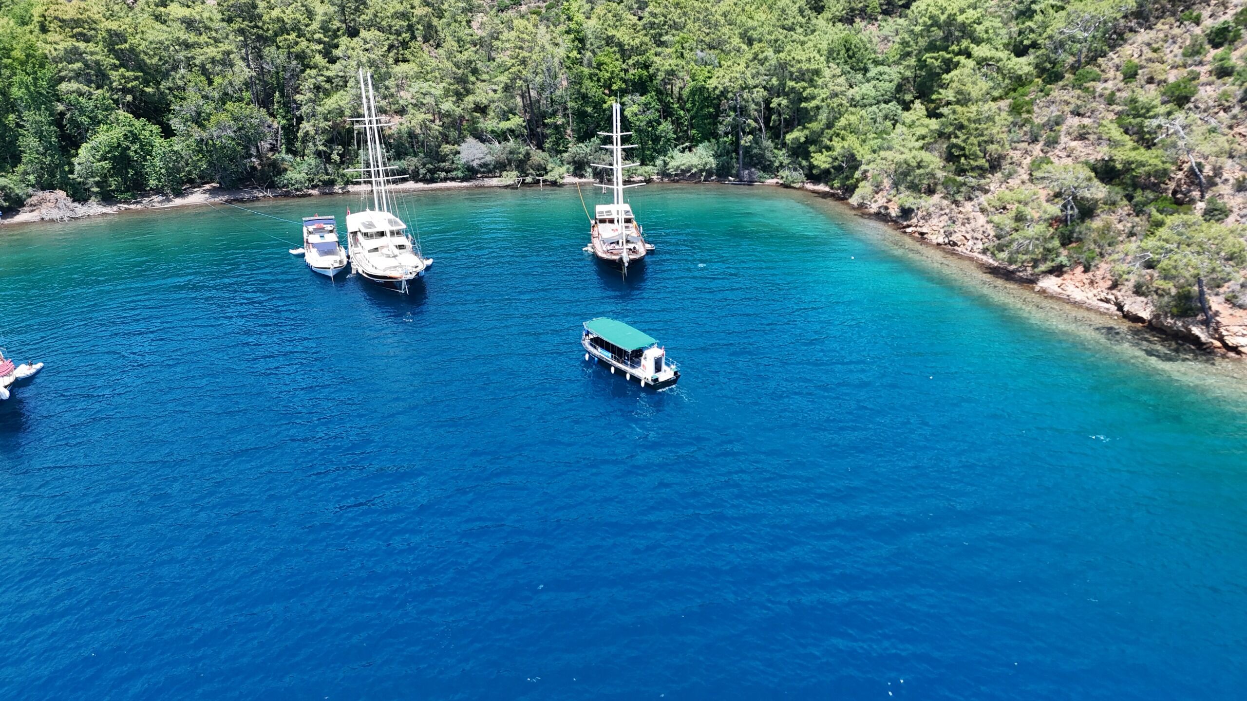 Büyükşehir’den Muğla-Aydın Kıyılarını Koruyan Dava