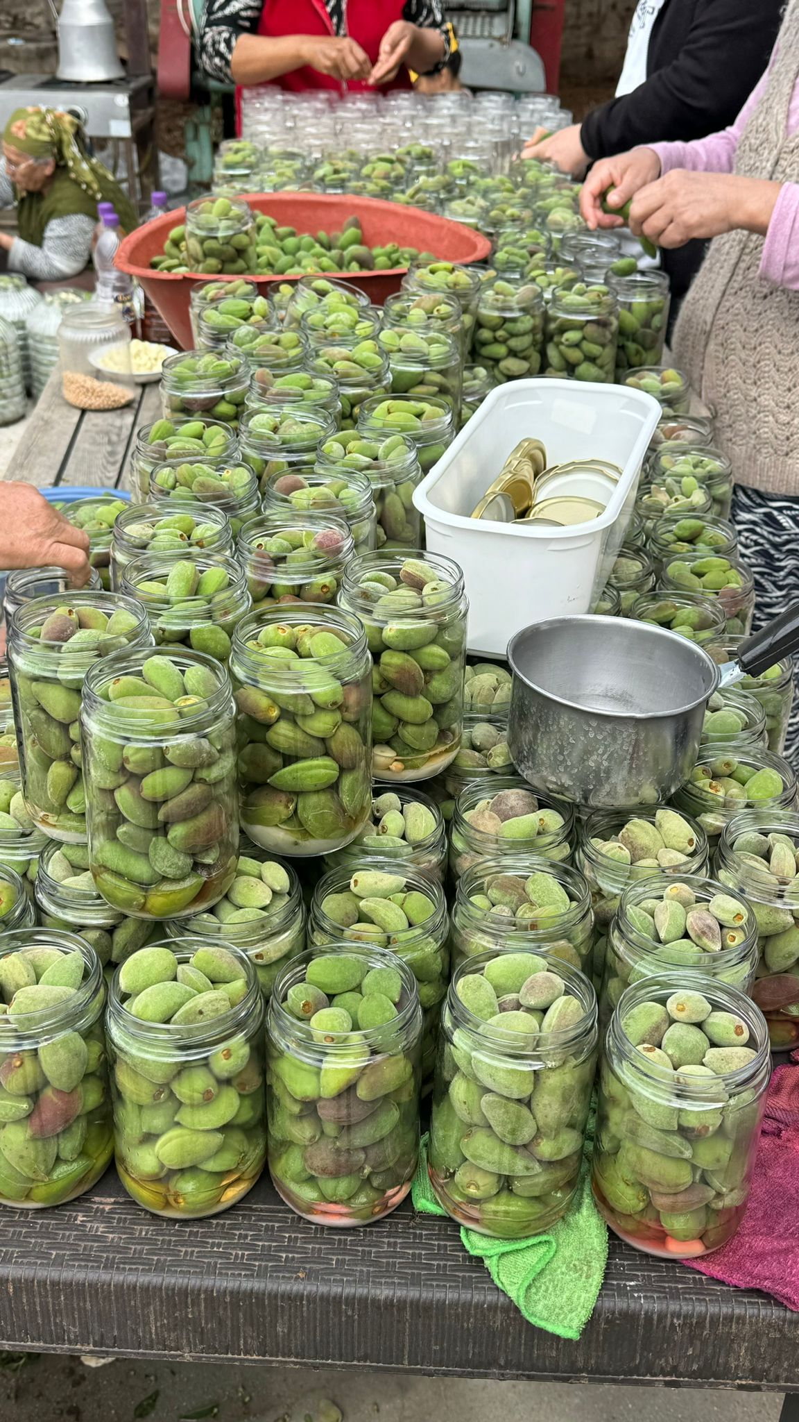 Çağla Turşusu Bereketi: Kadın Üreticilerden Ekonomiye Katkı