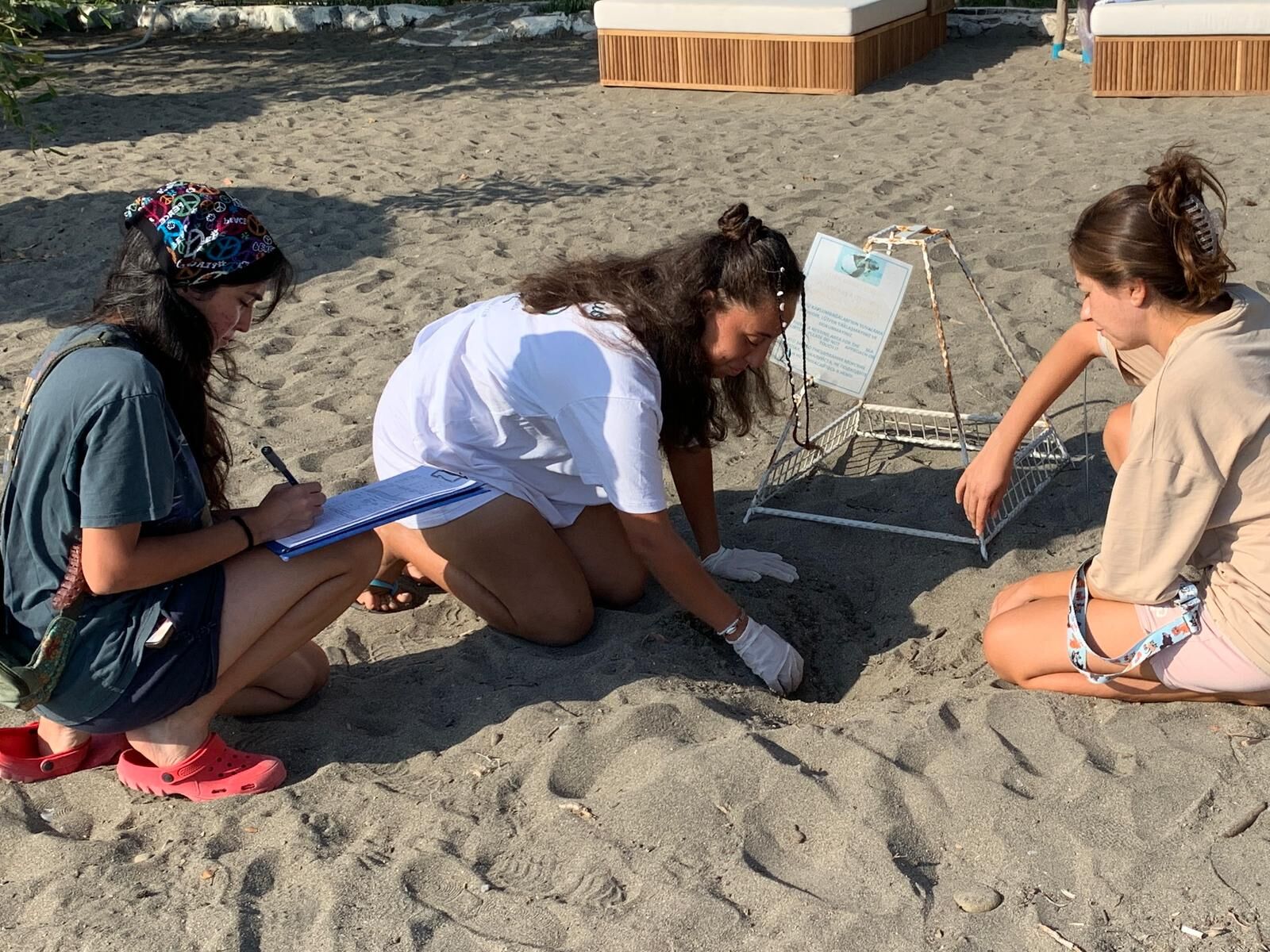 Caretta Caretta Yavruları Denizle Buluştu