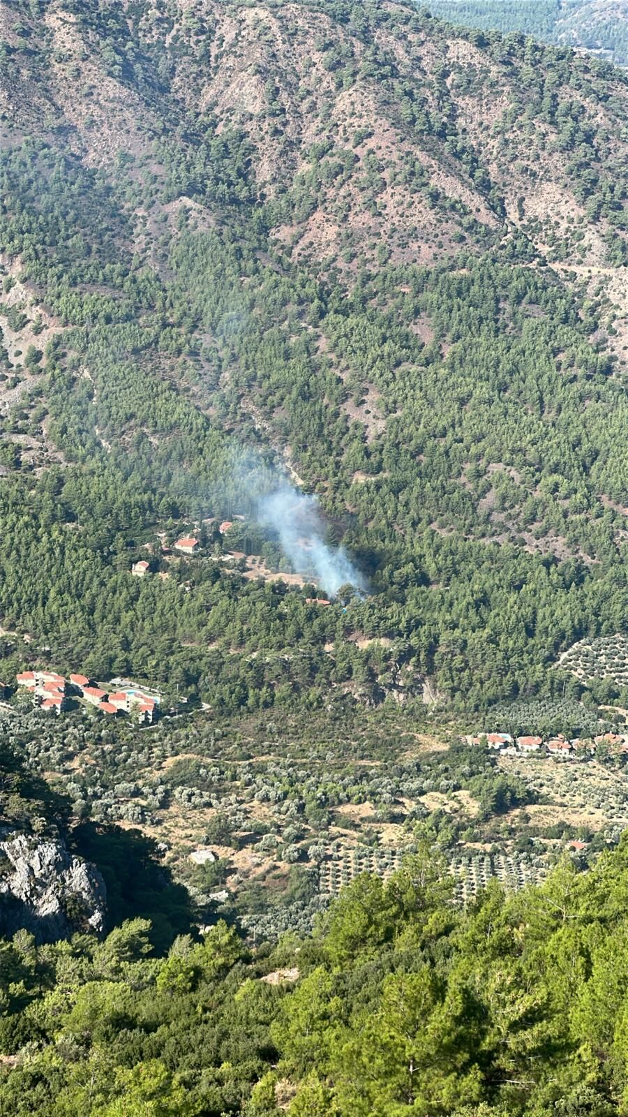 Dalaman’da Araç Yangını Ormana Sıçradı