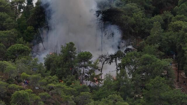 Fethiye'de Karavandan Ormana Sıçrayan Yangın, Kontrol Altına Alındı