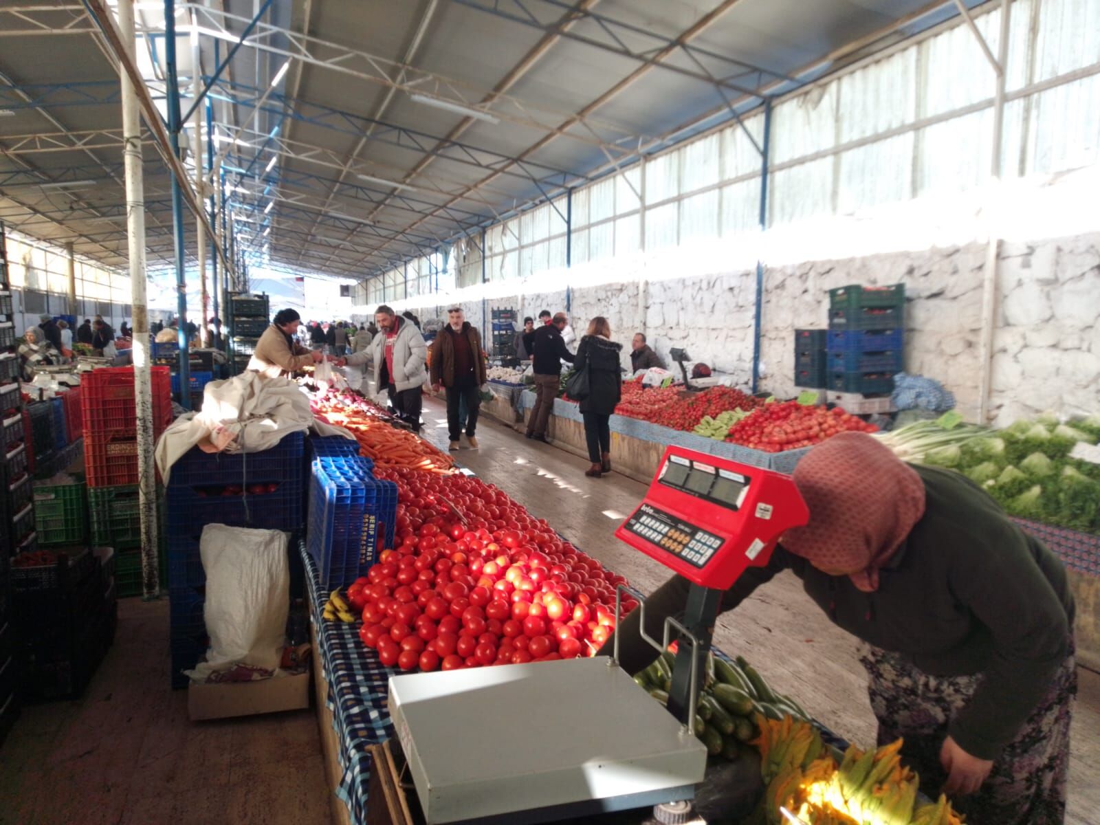 Domates, Pazarda Kilosu 20 TL