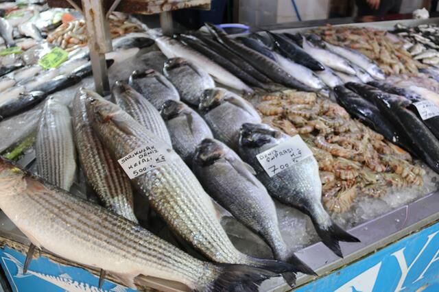 Av Yasağı Başladı, Balıkçılar Küçük Ölçekli Avcılığa Devam Ediyor