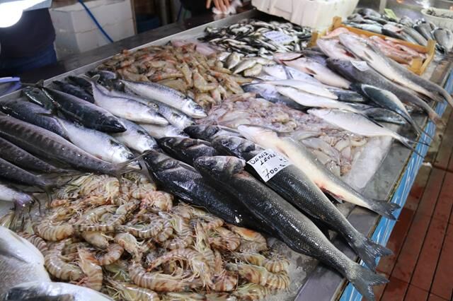 Av Yasağı Başladı, Balıkçılar Küçük Ölçekli Avcılığa Devam Ediyor