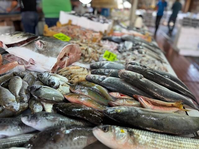 Fethiye Balık Hali’nde Kış Balıkları Tezgahları Doldurdu