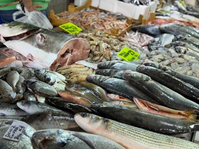 Fethiye Balık Hali’nde Kış Balıkları Tezgahları Doldurdu
