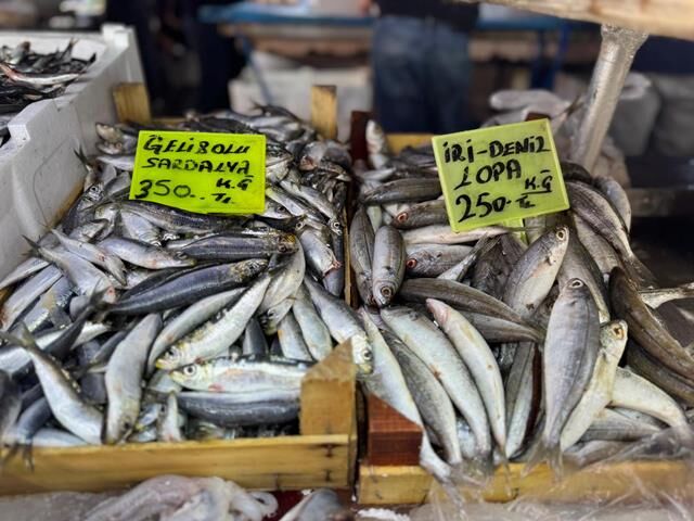 Fethiye Balık Hali’nde Kış Balıkları Tezgahları Doldurdu