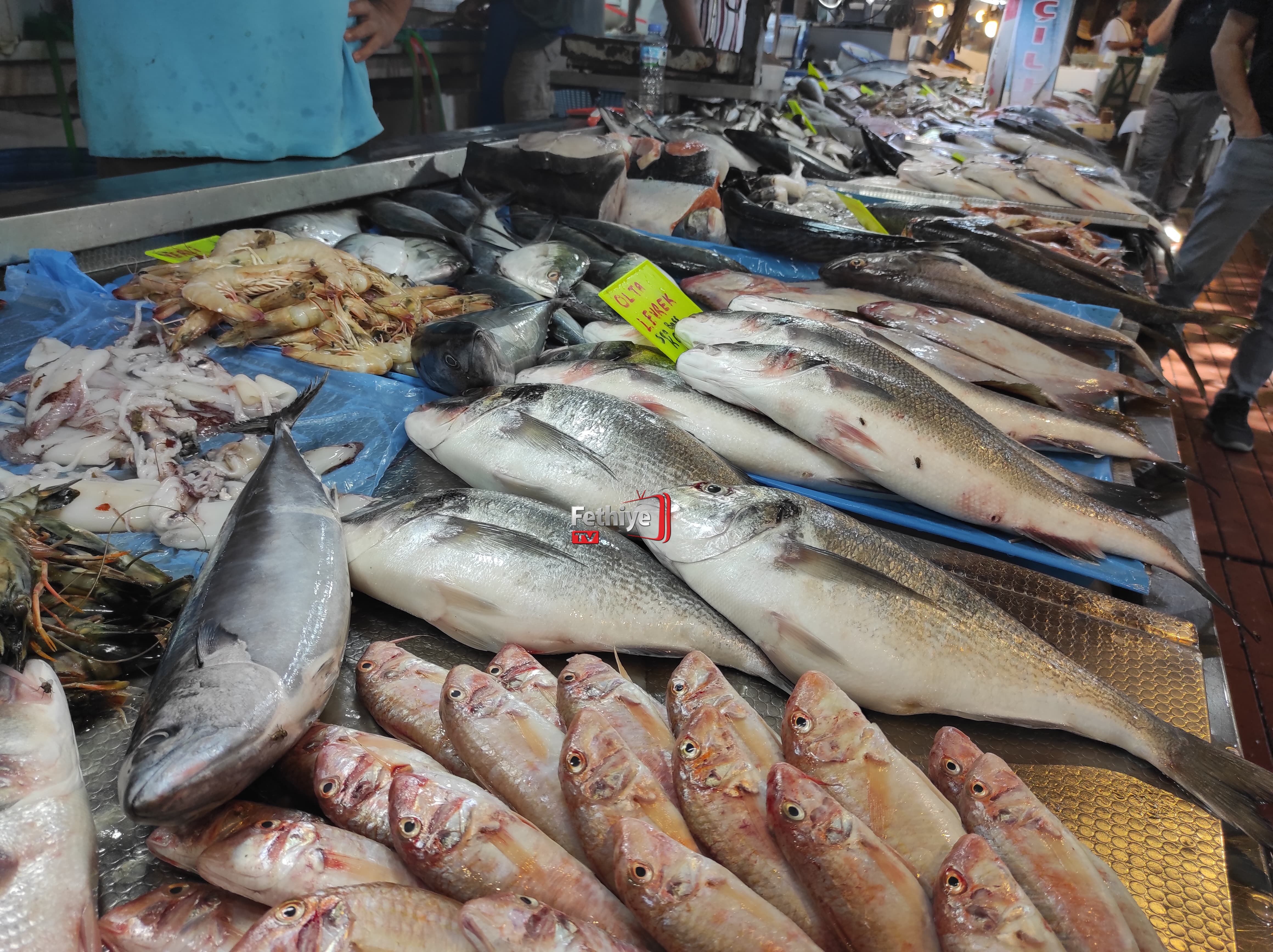 Fethiye Balık Halinde Sezon Başladı, Tezgahlar Şenlendi